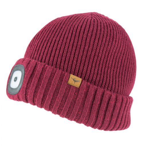 SEALSKINZ WaterproofColdWeatherLedRollCuffBeanie