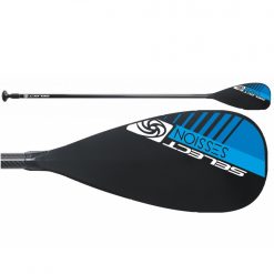 SELECT SessionB19