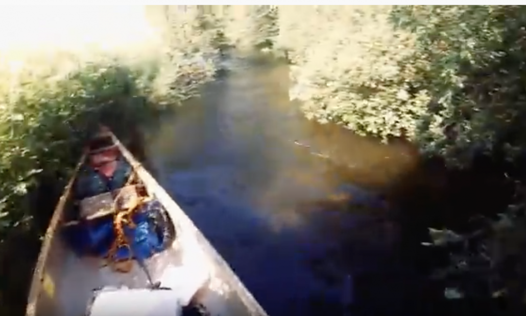 River Crake In Canoe - A Creeking Caper