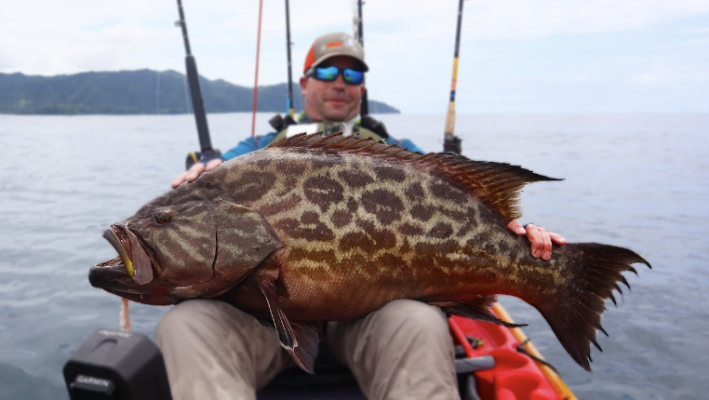 In this episode we're mothershiping 8 kayak fishermen to an epic spot on Panama's Pacific coast to target HUGE fish with giant live baits and artificials. The fishing is on fire, and one lucky client lands a huge broomtail grouper. Then, back at the lodge, we're showing you how to clean and cook up the tastiest fish that swims.